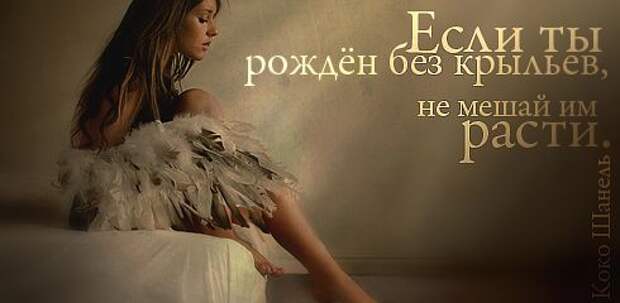 Полезные цитаты на все случаи жизни (64 картинки)