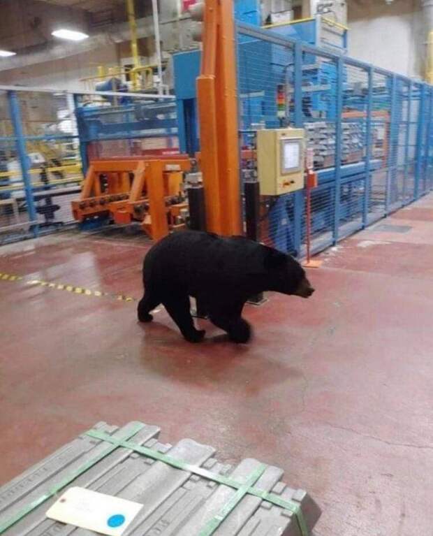 Подборка прикольных картинок