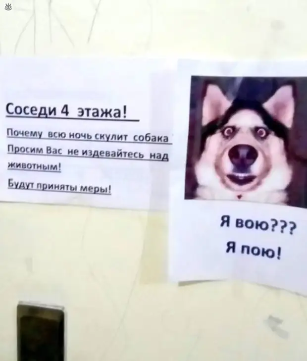Объяснительная в полиции))