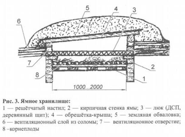 Кладовая для урожая Кладовая для урожая