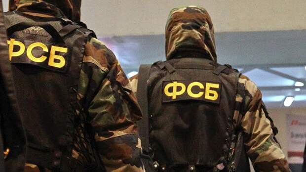 Спецслужбы России задержали украинского диверсанта