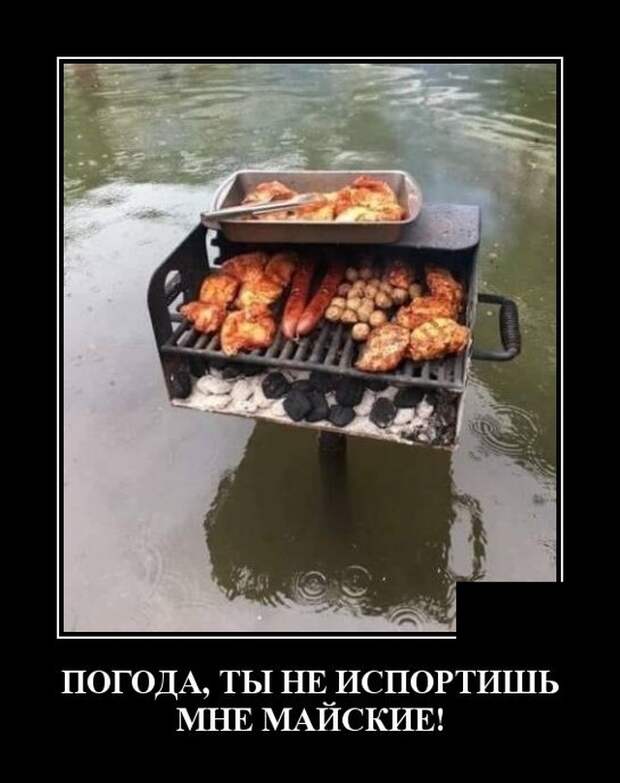 Демотиваторы (30 фото)