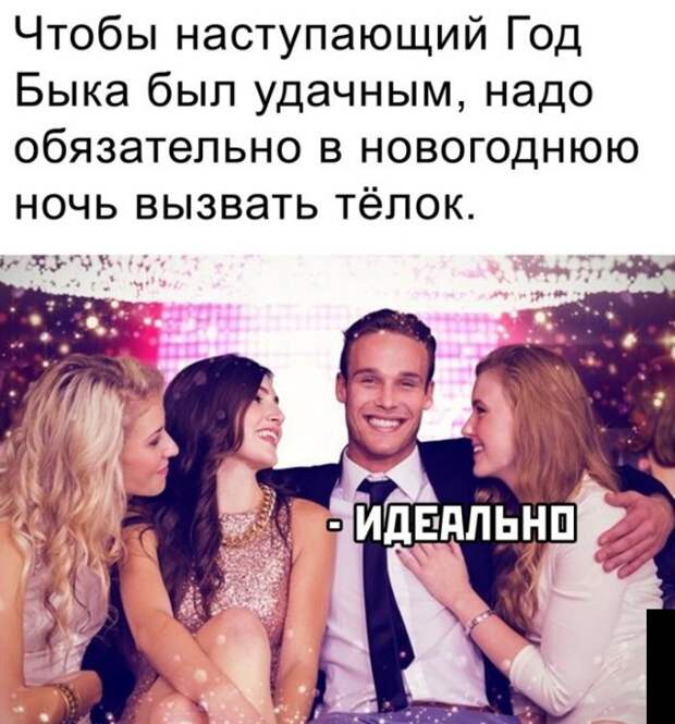 Смешные картинки 31 декабря 2020
