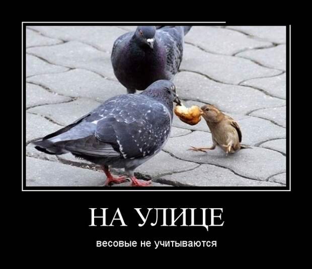 Демотиваторы (30 фото)
