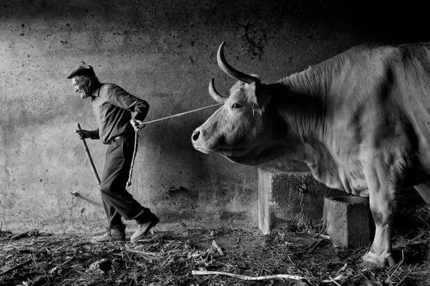 siena-international-photo-awards-travel-winners-2016-45-58173e868d1ba__880