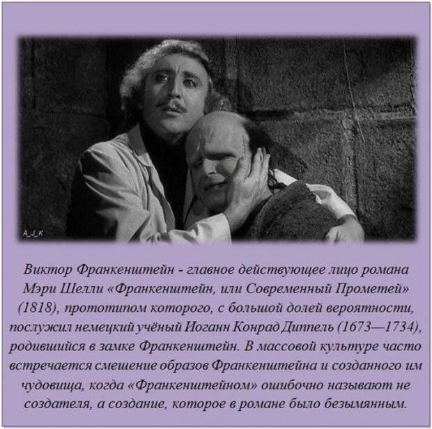 Интересные факты в картинках демотиваторы, история, факты