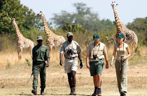 Национальный парк «Южная Луангва». Замбия высота, достопримечательности, опасность, туризм
