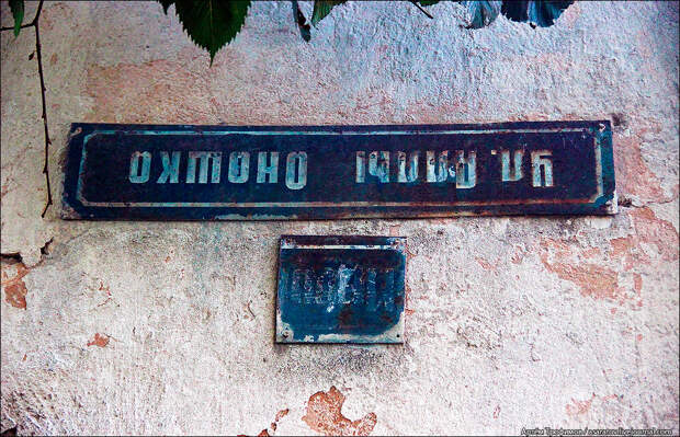 22.jpg 22.jpg