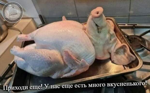 Приходи еще! У нас еще есть много вкусненького!