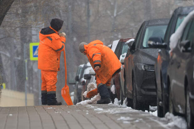 Депутат Дмитриева: один квалифицированный россиянин может заменить трех мигрантов
