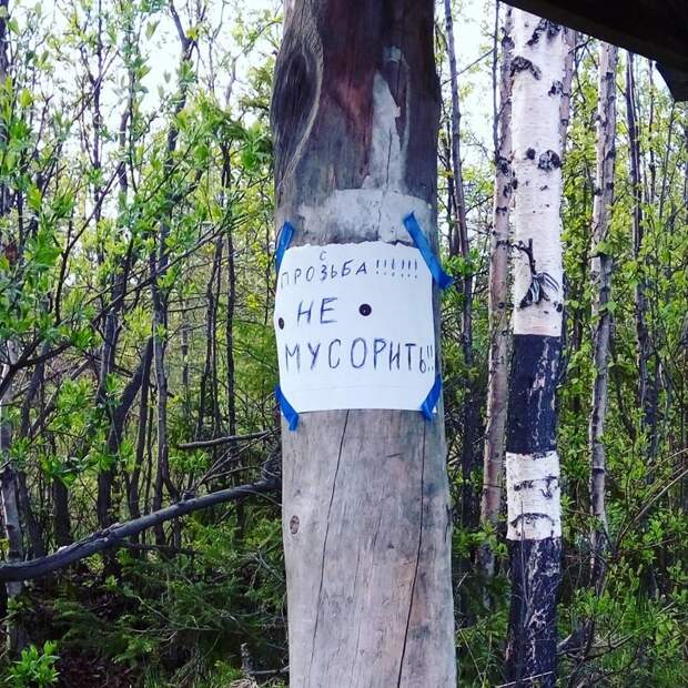 Велик богатый русский языка!