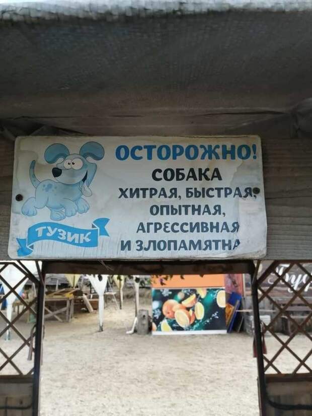 Объявления, которые могли придумать только люди из России