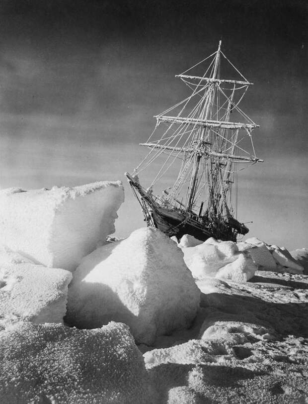 Пленники льдов Антарктики