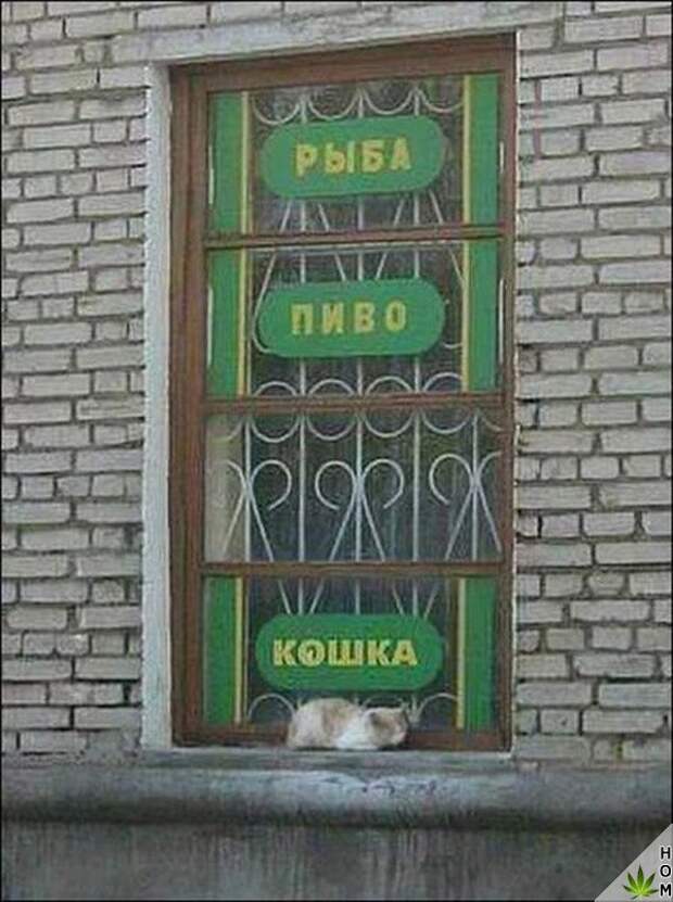 Свежие фотографии и смешные картинки из жизни (11 фото) Свежие фотографии и смешные картинки из жизни (11 фото)
