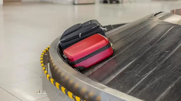 Глава Ростуризма Догузова рассказала о новогодних планах и запланированном путешествии