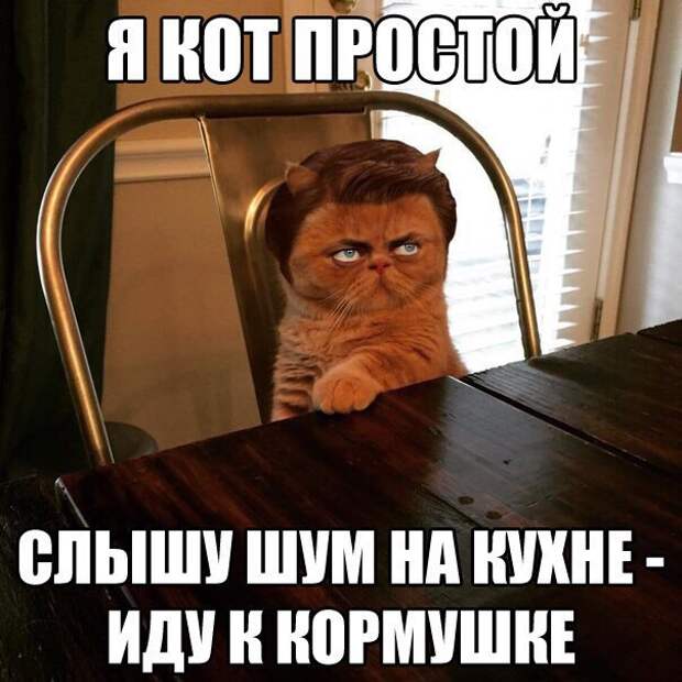 enwCdHbidNc