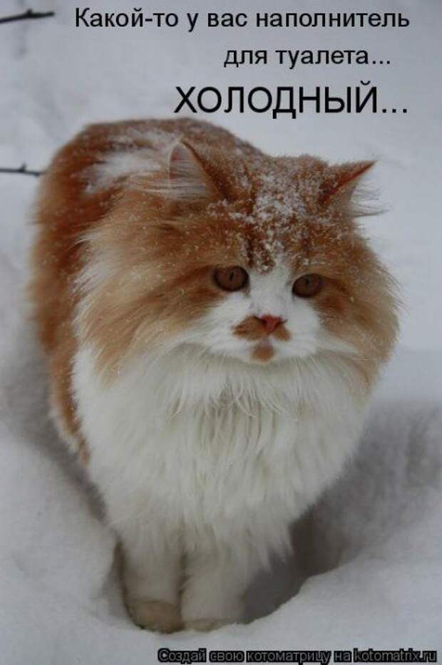 Мысли вслух :)