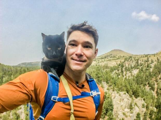 Знакомьтесь, этого кота зовут Саймон, и он уже в течение двух лет путешествует со своим хозяином в мире, животные, кот, красота, природа, путешествие