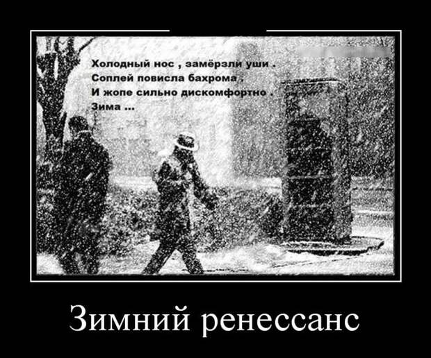 Демотиваторы (30 фото)