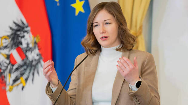 В Австрии раскритиковали планы по ускоренному вступлению Украины в ЕС