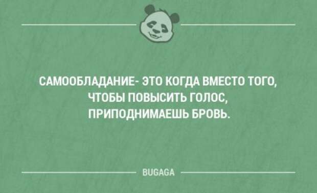 Прикольные фразы и забавные мысли. Часть 74 (16 шт)