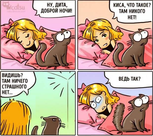 Как меняется жизнь с появлением в доме кота (20 картинок)