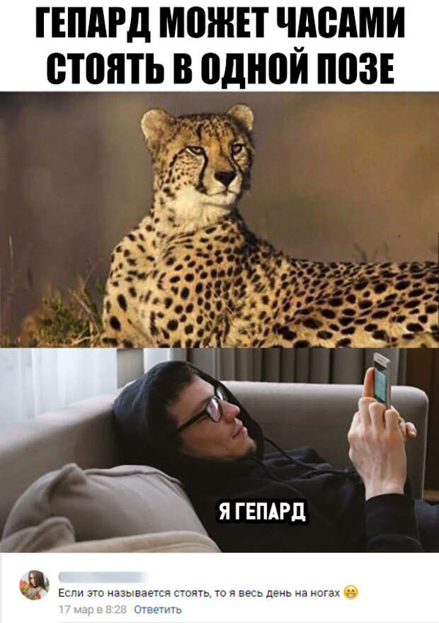 Поза гепарда