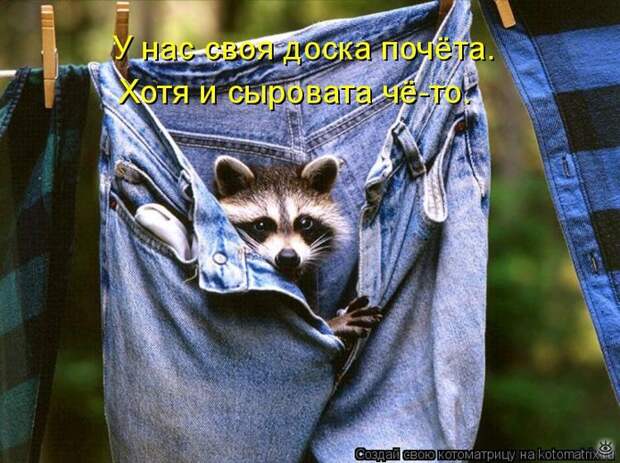 Приколы в котоматрице 28