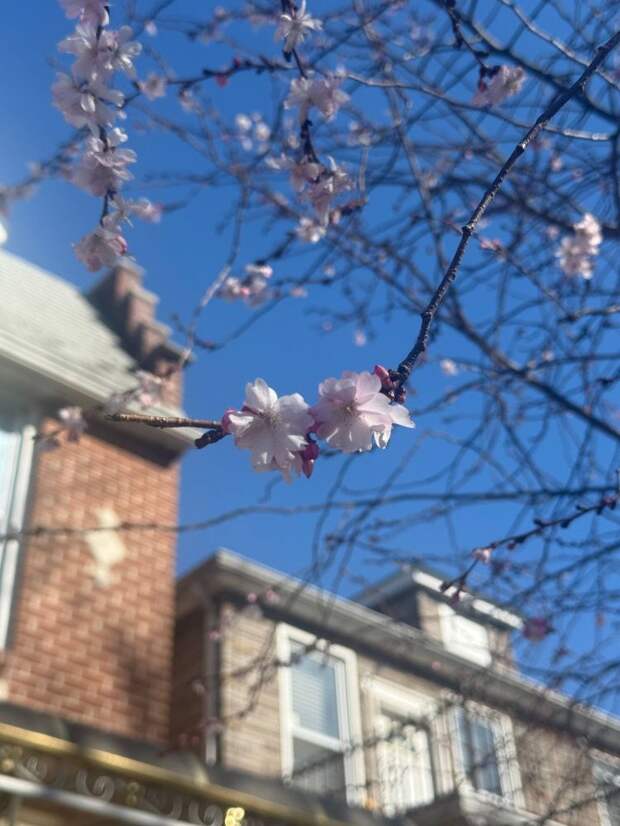 Весна набирает обороты: на Кубани станет теплее нормы