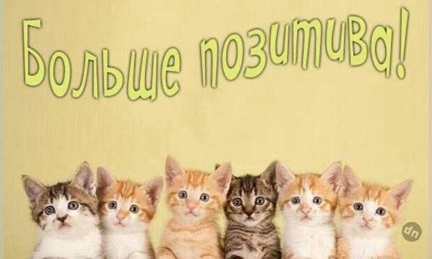 Всемирный День оптимизма отмечают 24 декабря