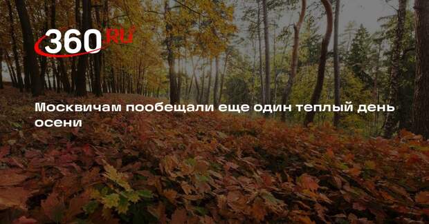 Гидрометцентр: в Москве ожидается до +20 градусов 29 сентября
