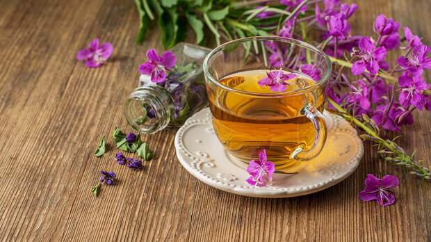 Биолог рассказал о полезных свойствах иван-чая