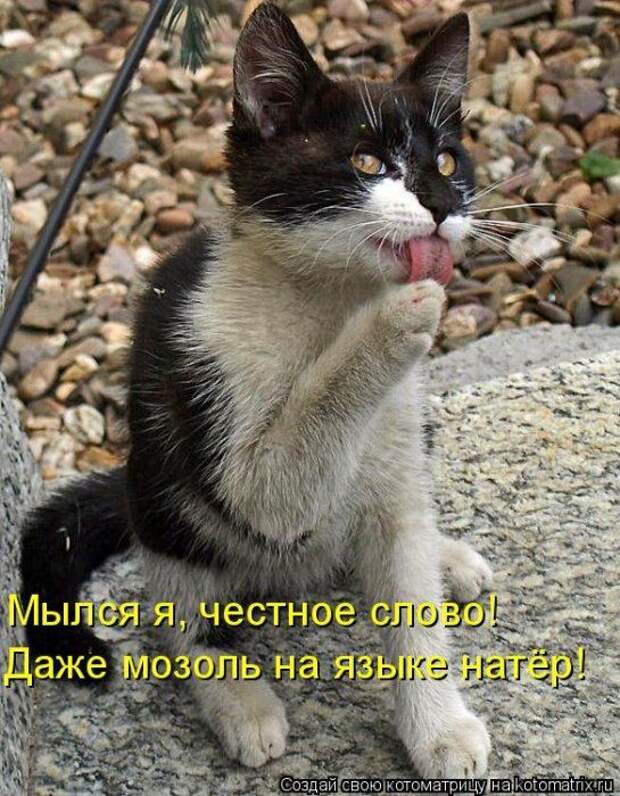 Мысли вслух :)