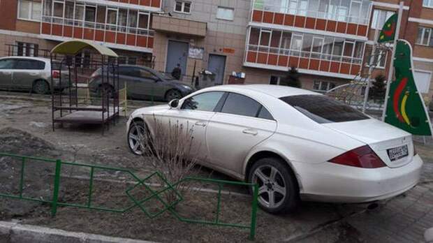 Прикольные картинки картинки из сети, прикол, юмор