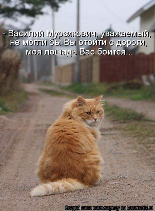 Мысли вслух :)
