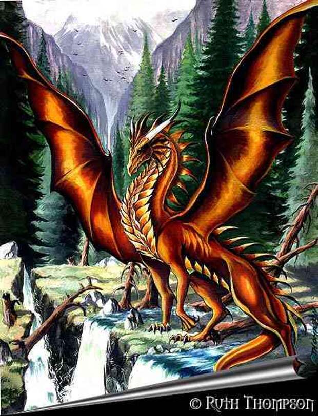 http://i367.photobucket.com/albums/oo111/AzureHypnock/Dragons/orange_dragon_243124725.jpg