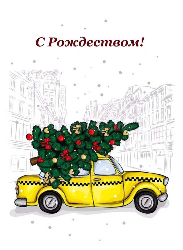 Чудеса в рождественскую ночь или как у моей дочки появился питомец.