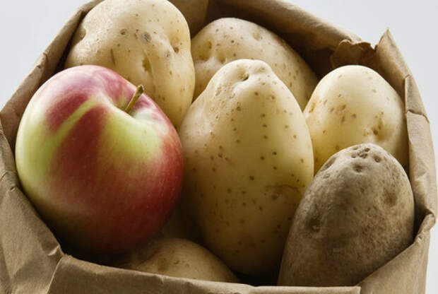 Хранить картофель. | Фото: Информагентство «Апрель».