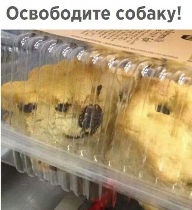 Свежая порция прикольных фотомемов (25 шт)