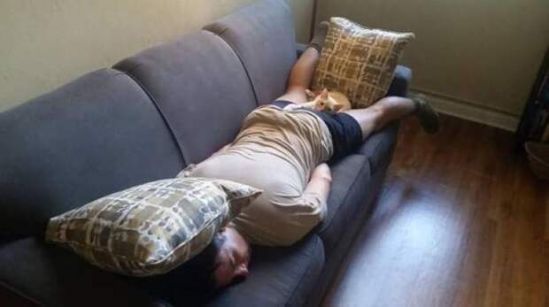 30 веселых фотографий с животными 30 веселых фотографий с животными