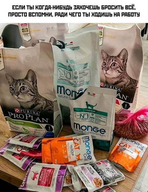 Подборка свежих мемов на пятницу