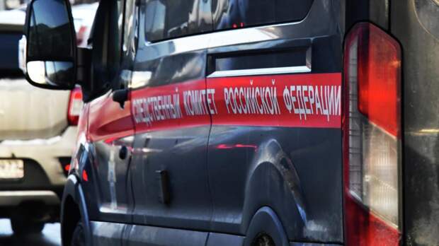 СК: основная версия отравления жителей Мурома — некачественная вода