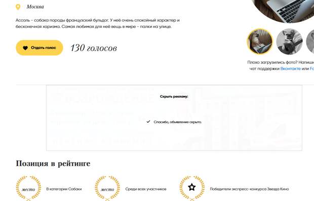 КОНКУРС "САМЫЙ КРАСИВЫЙ ПИТОМЕЦ РОССИИ". КОНКУРС БЕЗ КОНКУРСА , ИЛИ КАК ВСЕХ ОБМАНУЛИ.