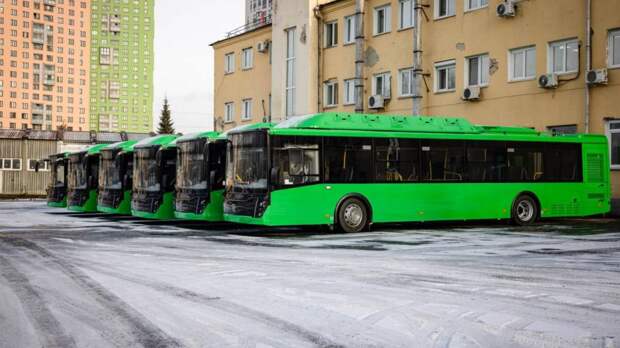 На трех маршрутах Екатеринбурга в январе появятся новые автобусы