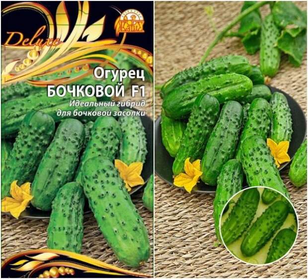 огурец бочковой