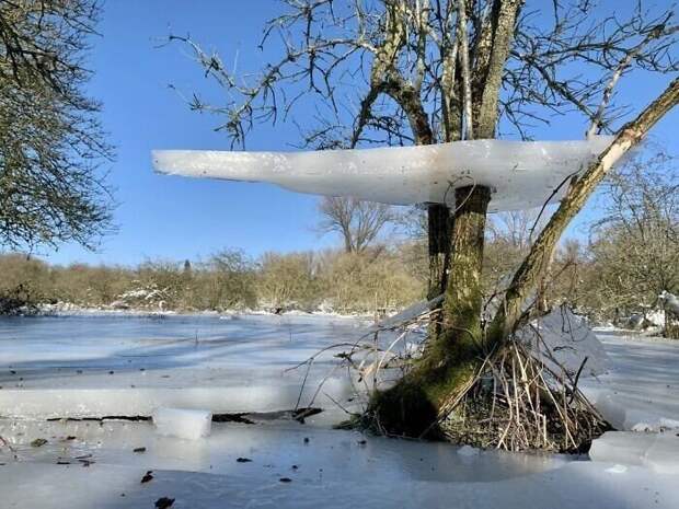Снимки морозной зимы демонстрируют настоящий холод