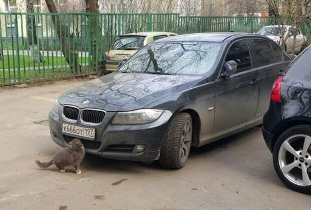 Свежие фотоприколы на автотематику (21 шт)
