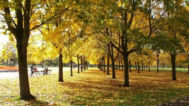 Метеоролог Шувалов рассказал, когда бабье лето вернётся на юг России