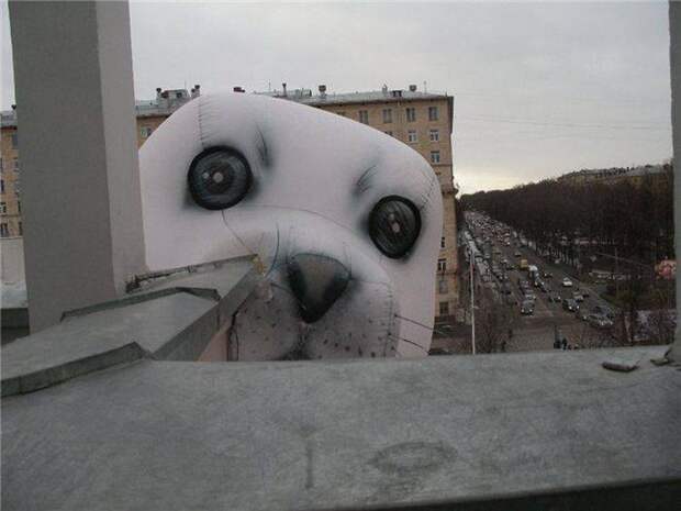 Прикольные картинки
