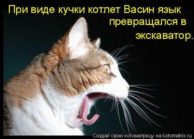 Мысли вслух :)